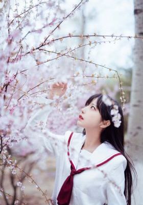 放羊的星星在线观看_蓝光高清视频观看